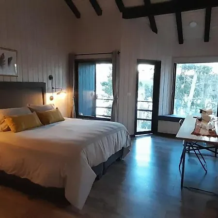 Cabanas Wildki Lodge Vichuquen Curico Exterior photo