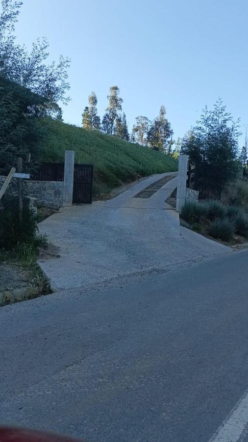 Wildki Vichuquen